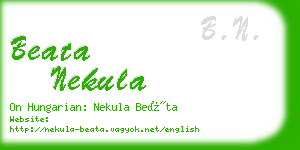 beata nekula business card